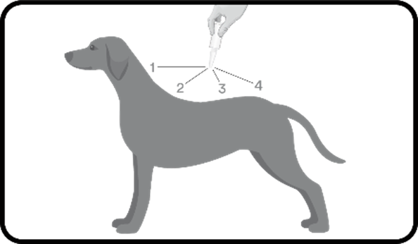 Pulsix (10 - 25 kg) fig. 4