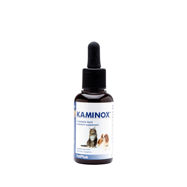 Produktidentifikation - 50815