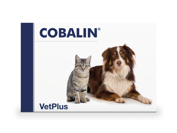 Produktidentifikation - 50690