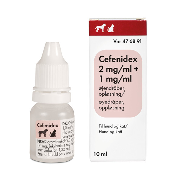 Cefenidex