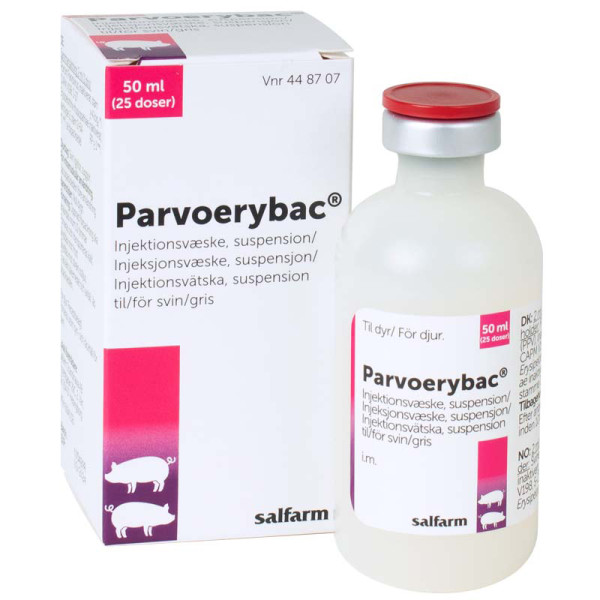 Parvoerybac