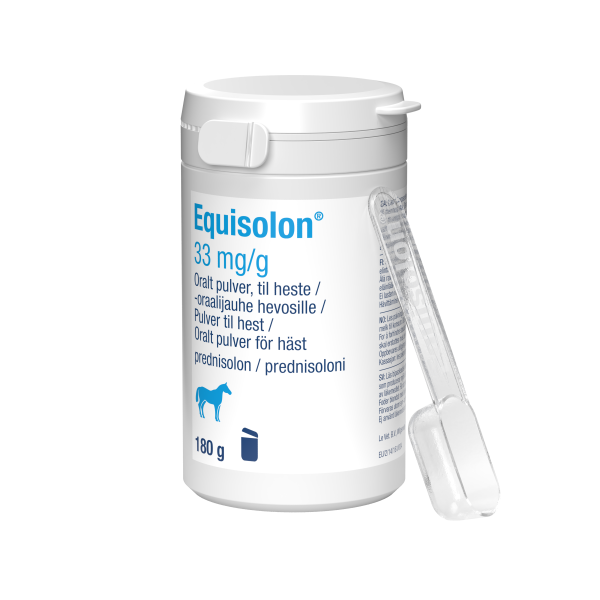 Equisolon